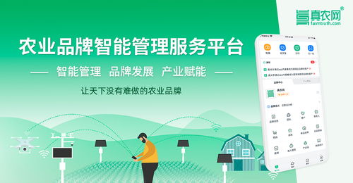 從韓國(guó)高麗參到中國(guó)物聯(lián)網(wǎng)農(nóng)業(yè) 一場(chǎng)關(guān)于價(jià)值重塑的產(chǎn)業(yè)解析